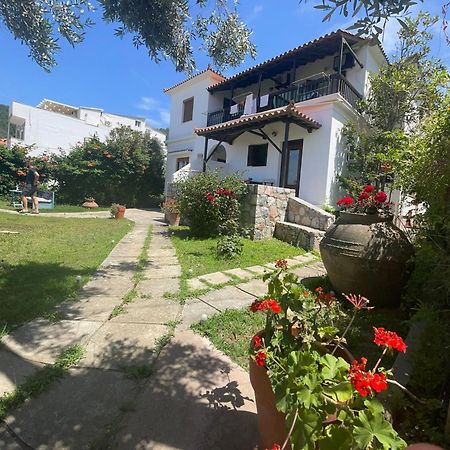 Appartement Eleni Del Sol à Skopelos Extérieur photo